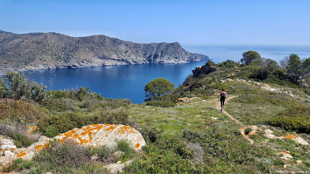 Cap de Creus