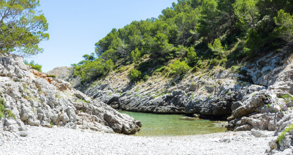 Cala Pedrosa